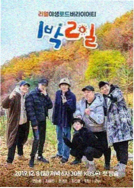 国产剧春潮渐起手账卡片封面